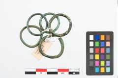 Foto von Bronzering (NHMW-PRAE-025766)